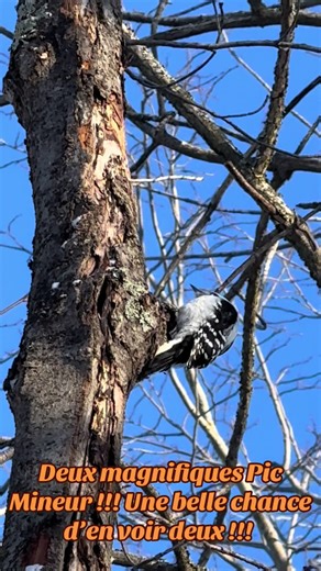 🌸💞Hélène💞🌸 (@1962helene)’s videos with Life Is Beautiful - LADY ARKE