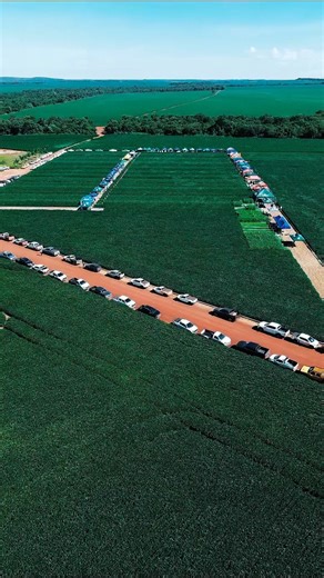 V-TEC Consultoria Agronômica on Instagram: "O 1º Smart Field Day foi um sucesso. Trocas reais, conexões fortalecidas e muito aprendizado no maior dia de campo do Vale do Araguaia. Agradecemos a todos os envolvidos por fazerem parte desse marco e elevarem ainda mais a força do campo."