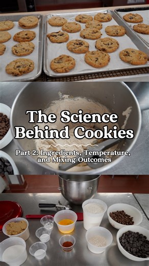 Institute of Culinary Education | In Part 2 of our Science Behind Cookies series, Chef @pastrycsmith from our Los Angeles campus dives deeper into what happens after... | Instagram