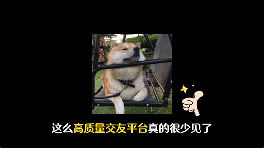 加入CFriends，开启你的专展缘分之旅!