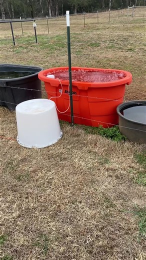 Winter weather prep is complete! What do you do to prepare your home and critters? #snow #sleet #winterweather #barncat #horseblanket