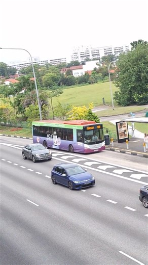 SBS8153R on 198 xdepot with greenlife full body ad