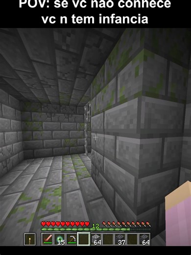 Minecraft: Sem Infância e Aventuras Inusitadas