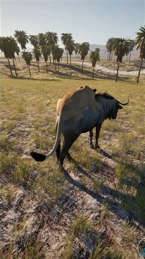 Lioness Grappling Attack | Primal Earth (2023)