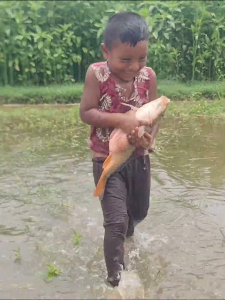 Amazing Boy Catching Fish By Hand