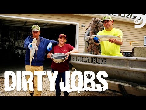 How to Harvest Caviar From Sturgeons With Mike Rowe | Dirty Jobs | Discovery