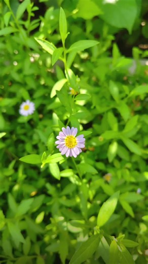 tony_MTh บน TikTok