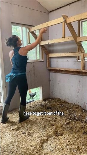 The Poop Chute in The Poultry Palace! #chickencoop #backyardchickens #homesteading