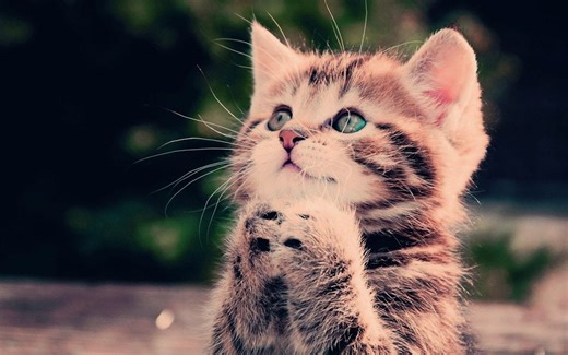 ElvUI单位框体+自定义字体简述