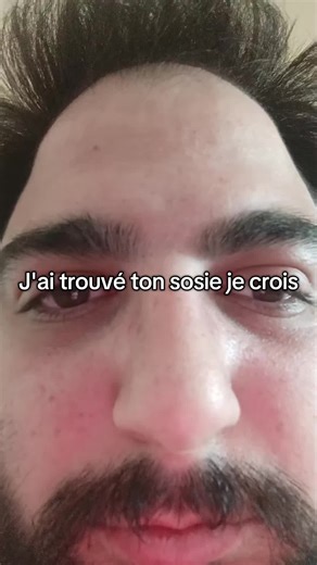 Piggy Hilarious Moments and Their Cutest Videos