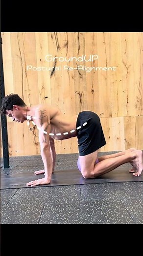 Postural Realignment Exercises