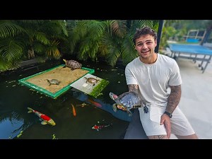 RESCUING TURTLES for My Backyard POND!!