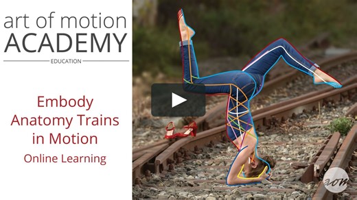 Anatomy Trains in Motion Embodiment