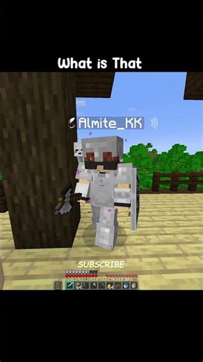 What is That #minecraft