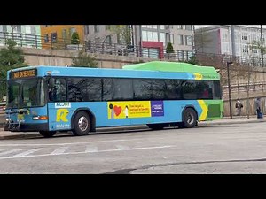 Transit in Motion: WMATA Metrobuses, MCDOT Ride-On Buses, and Metrorail Action