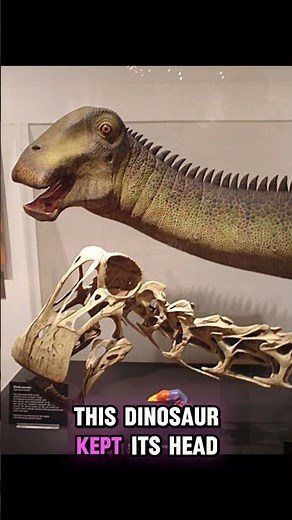 The Dinosaur With 500 Teeth | Nigersaurus Explained