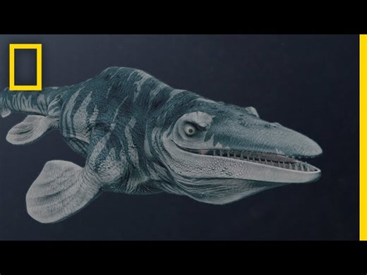 Mosasaurs 101 - Fearsome Marine Reptiles - NatGeo