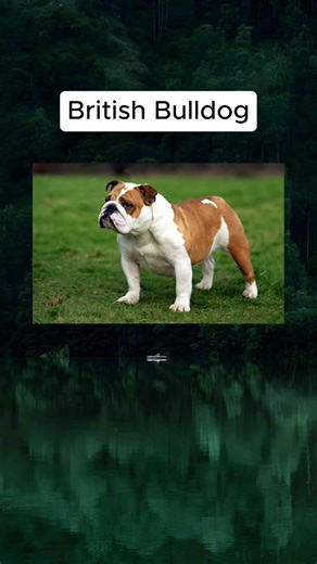 I'll keep in distance #unusual #facts #knowledge #history #information #fblifestyle | Berooox