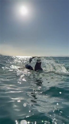 Over 1354km swum, less than 13km to go