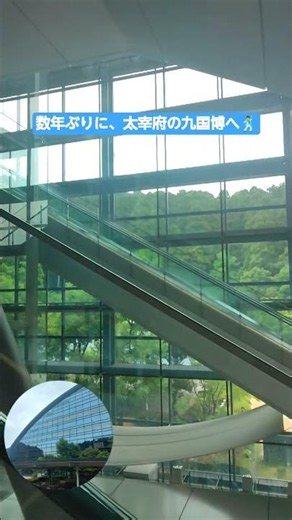 九州国立博物館へ若冲展を観に来ましたョ👀