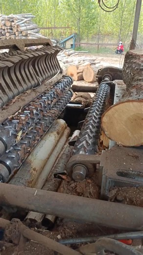 Wood processing automated production line custom peeling and rounding