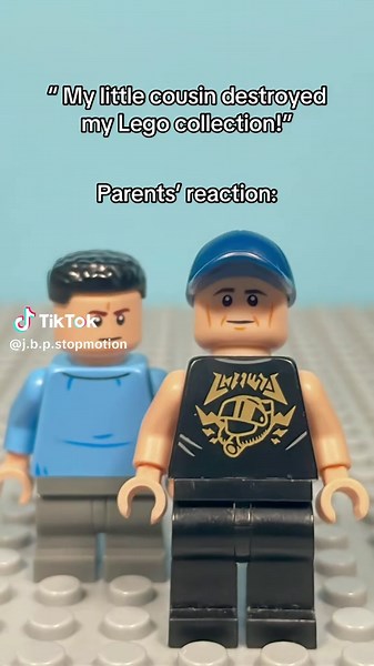 Cousin Destroys Lego Collection: A Reaction Meme