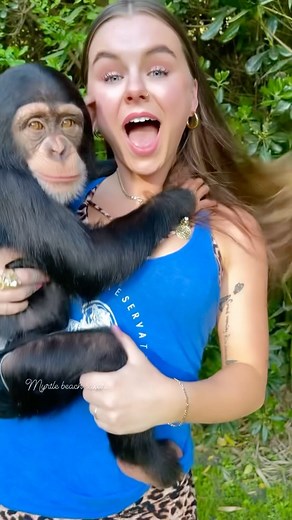 My stuffed animal turned into a real monkey!🩷🐒 • • • #Chimps #chimpanzee #chimpanzeesofinstagram #chimps #apes #primatesofinstagram #cuteanimals #animalsaddict #animals #explorepage #animals #animalsofinstagram #animallover #monkey #monkeys #monkeyseemonkeydo #monkeysofinstagram #monkeylove #riolilly #rioandvanara #funny #funnypets #funnyanimals #funnymonkey | Rio Lilly