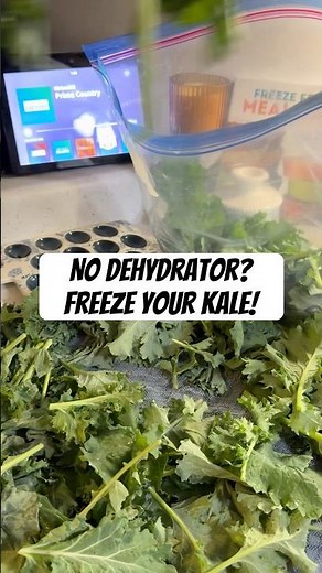 No Dehydrator? Freeze Your Kale!