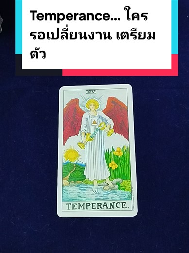 เบื่องานเดิม อึดอัดกับระบบที่เป็นอยู่? ไพ่ Temperance มาปรากฏเพื่อบอกว่า