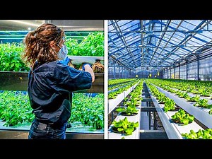 Most PROFITABLE Small Farm Ideas You NEED To Try!