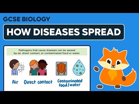 How Diseases Spread - Viral Diseases
