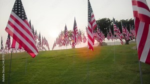 Many American flags fluttering in the wind on flag poles against cloudy sky