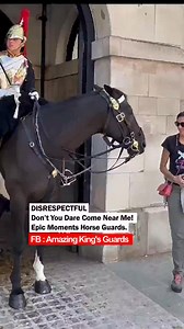 DISRESPECTFUL !! Don’t You Dare Come Near Me..! Epic Moments Horse Guards. #lifeguards #royalguards #horseguards #royalfamily #disrespect | Amazing King's Guards
