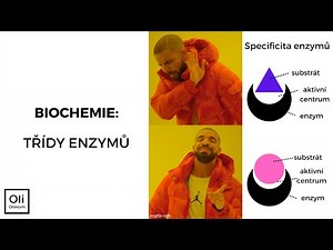 Třídy enzymů - biochemie