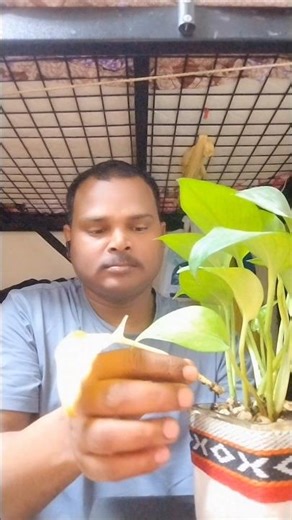 Plant Glow Up! Watch My Green Babies Explode!