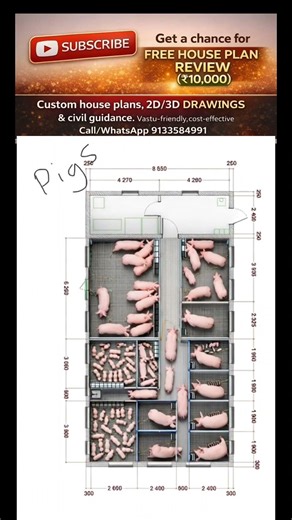Smart Pig Farming Floor Plan 🐖 | 3D Layout That Maximizes Profit