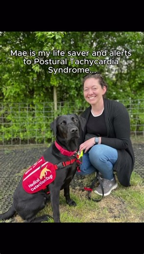 Did you know that Medical Detection Dogs could support you to train your own pet dog to become an accredited Medical Alert Assistance Dog? Here’s Laura and Mae’s story… https://bit.ly/4cjVxUw #l#medicaldetectiondogs #thenoseknows #dogsoftiktok #assistancedog
