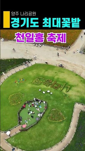 Places to visit in October, best fall flowers, Yangju Nari Park's zinnia festival, Gyeonggi-do's ...