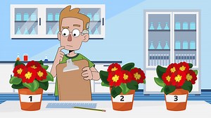 Planning experiments and variables – KS2 Science curriculum - BBC Bitesize