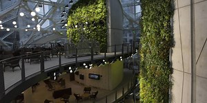 Take a Look Inside Amazon’s New Seattle Rainforest Offices