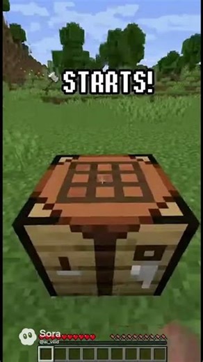 Crazy Minecraft Challenge: No Tools Allowed