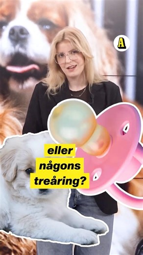 Vem räddar du först – din hund eller någons barn?