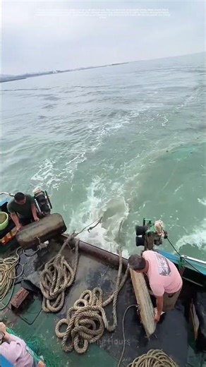 Casting Nets, Reeling in Tradition: How Fishermen Bridge Past and Present