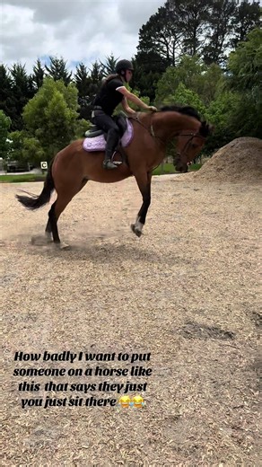 Funny Horse Fails That Will Make You Laugh Out Loud