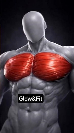 How I Built My Chest: Top 5 Mass-Building Exercises #motivation #gym #workout #chest#chestday #viral