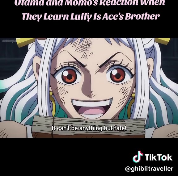 Otama y Momo reaccionan a la revelación de Luffy