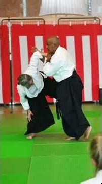 Vidéo 1 Stage d'Aïkido exceptionnel Mérignac! Gaston Nicolessi, Fabrice Croizé et Ludovic Caudéran