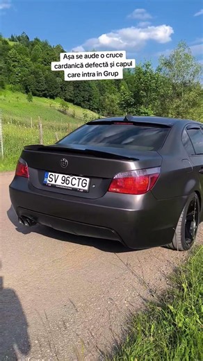 Cardan Defect BMW Cruce cardanică defectă Rulment cardan defect