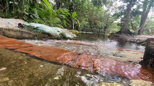 Relaxation at its best 🌳🌊🌤️ Book your stay today #6473863 #nature #ASMR #linden #guyana