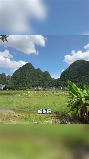 张哥，刚刷到阳朔春山秘境超火。180 度全景大床房，躺看山水。双早、矿泉水管够，免费停车，有私人订制游，近核心景区，只需 499，性价比超高！ （热门日期或节假日可能存在加价情况，详细信息可见商品详情页说明 | 注意，叠加秒杀后的价格是499元，团购价是699元；）#景点打卡 #环球旅行 #有山有水 #风景这边独好 #青山绿水我的家